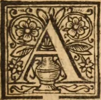 An illustration from The reasons presented by the Dissenting brethren : against certain propositions concerning presbyteriall government. And the proofs of them voted by the Assembly of divines, sitting by authority of Parliament, at Westminster. Together with the answer of the Assembly of divines to those reasons of dissent (1648)