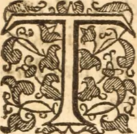 An illustration from The reasons presented by the Dissenting brethren : against certain propositions concerning presbyteriall government. And the proofs of them voted by the Assembly of divines, sitting by authority of Parliament, at Westminster. Together with the answer of the Assembly of divines to those reasons of dissent (1648)