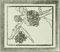 An illustration from Present status of drawing and art in the elementary and secondary schools of the United States (1914)