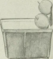 An illustration from Present status of drawing and art in the elementary and secondary schools of the United States (1914)