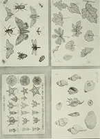 An illustration from Present status of drawing and art in the elementary and secondary schools of the United States (1914)