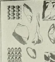 An illustration from Present status of drawing and art in the elementary and secondary schools of the United States (1914)
