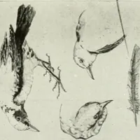 An illustration from Present status of drawing and art in the elementary and secondary schools of the United States (1914)