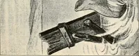 An illustration from Presidential nominations and elections : a history of American conventions, national campaigns, inaugurations and campaign caricature (1916)