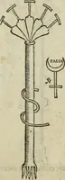 An illustration from Pretiosa margarita novella : de thesavro, ac pretiosissimo philosophorvm lapide : artis huius divinae typus & methodus : collectanea ex Arnaldo, Rhaymundo, Rhasi, Alberto, & Michaele Scoto (1546)