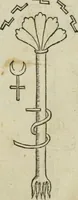An illustration from Pretiosa margarita novella : de thesavro, ac pretiosissimo philosophorvm lapide : artis huius divinae typus & methodus : collectanea ex Arnaldo, Rhaymundo, Rhasi, Alberto, & Michaele Scoto (1546)