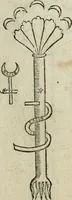 An illustration from Pretiosa margarita novella : de thesavro, ac pretiosissimo philosophorvm lapide : artis huius divinae typus & methodus : collectanea ex Arnaldo, Rhaymundo, Rhasi, Alberto, & Michaele Scoto (1546)