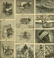 An illustration from Priced catalogue of artists' materials : supplies for oil painting, water color painting, china painting ... and drawing materials for architects and engineers, manual training schools and colleges. (1914)