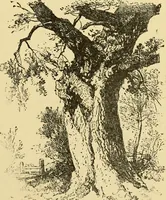 An illustration from Priced catalogue of artists' materials : supplies for oil painting, water color painting, china painting ... and drawing materials for architects and engineers, manual training schools and colleges. (1914)