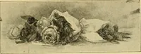 An illustration from Priced catalogue of artists' materials : supplies for oil painting, water color painting, china painting ... and drawing materials for architects and engineers, manual training schools and colleges. (1914)