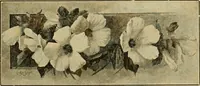 An illustration from Priced catalogue of artists' materials : supplies for oil painting, water color painting, china painting ... and drawing materials for architects and engineers, manual training schools and colleges. (1914)