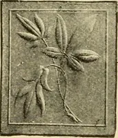 Picture 309 of 459 from Priced catalogue of artists' materials : supplies for oil painting, water color painting, china painting ... and drawing materials for architects and engineers, manual training schools and colleges. (1914), leaf 275