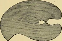 An illustration from Priced catalogue of artists' materials : supplies for oil painting, water color painting, china painting ... and drawing materials for architects and engineers, manual training schools and colleges. (1914)