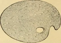 Picture 62 of 459 from Priced catalogue of artists' materials : supplies for oil painting, water color painting, china painting ... and drawing materials for architects and engineers, manual training schools and colleges. (1914), leaf 69