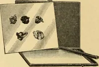 Picture 97 of 459 from Priced catalogue of artists' materials : supplies for oil painting, water color painting, china painting ... and drawing materials for architects and engineers, manual training schools and colleges. (1914), leaf 97
