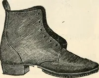 Picture 195 of 299 from Price list and diary for 1898. (1898), leaf 381