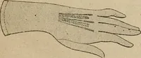 Picture 219 of 299 from Price list and diary for 1898. (1898), leaf 406