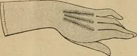 An illustration from Price list and diary for 1898. (1898)
