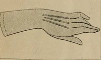 An illustration from Price list and diary for 1898. (1898)