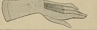 Picture 229 of 299 from Price list and diary for 1898. (1898), leaf 433