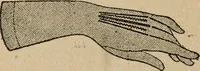 Picture 230 of 299 from Price list and diary for 1898. (1898), leaf 435