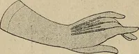 An illustration from Price list and diary for 1898. (1898)