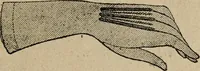 Picture 234 of 299 from Price list and diary for 1898. (1898), leaf 450