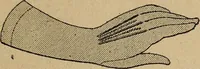 An illustration from Price list and diary for 1898. (1898)