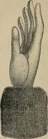 Picture 243 of 299 from Price list and diary for 1898. (1898), leaf 477