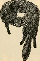 An illustration from Price list and diary for 1898. (1898)