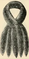 Picture 248 of 299 from Price list and diary for 1898. (1898), leaf 501