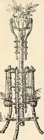 Picture 282 of 299 from Price list and diary for 1898. (1898), leaf 541