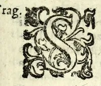An illustration from Prigione d'amore : commedia nvova (1596)