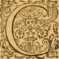 Picture 32 of 56 from Prima pars summa theologie de Deo Vno & trino. : in tres præcipvos tractatvs distribura cum varies indicibus (1607), leaf 446