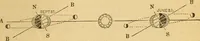 An illustration from A primary astronomy .. (1851)