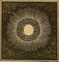 An illustration from A primary astronomy .. (1851)