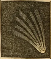 An illustration from A primary astronomy .. (1851)