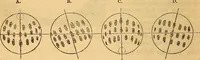 An illustration from A primary astronomy .. (1851)