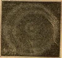 An illustration from A primary astronomy .. (1851)