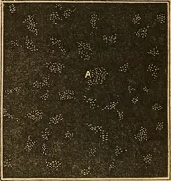 An illustration from A primary astronomy .. (1851)