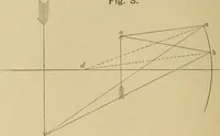 An illustration from Primary microscopy and biology. A text book for the use of students in high schools, normal schools and academies (1890)