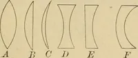 An illustration from Primary microscopy and biology. A text book for the use of students in high schools, normal schools and academies (1890)