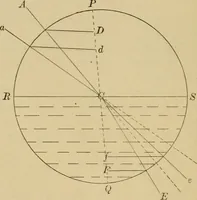 An illustration from Primary microscopy and biology. A text book for the use of students in high schools, normal schools and academies (1890)