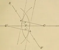 An illustration from Primary microscopy and biology. A text book for the use of students in high schools, normal schools and academies (1890)