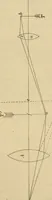An illustration from Primary microscopy and biology. A text book for the use of students in high schools, normal schools and academies (1890)