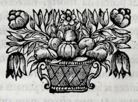Picture 16 of 38 from Primeira[-quarta] parte da historia de S. Domingos : particular do reino e conquistas de Portugal (1623), leaf 314