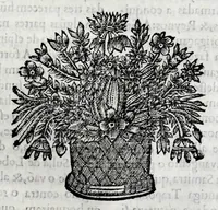 Picture 20 of 38 from Primeira[-quarta] parte da historia de S. Domingos : particular do reino e conquistas de Portugal (1623), leaf 385