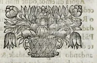 Picture 24 of 38 from Primeira[-quarta] parte da historia de S. Domingos : particular do reino e conquistas de Portugal (1623), leaf 460