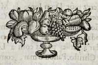 Picture 30 of 38 from Primeira[-quarta] parte da historia de S. Domingos : particular do reino e conquistas de Portugal (1623), leaf 496