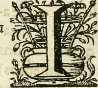 Picture 20 of 73 from Primeira[-segunda] parte da Historia ecclesiastica dos arcebispos de Braga, e dos santos, e varoes illustres, que florecerão neste arcebispado (1634), leaf 119